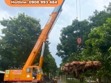DỊCH VỤ CHO THUÊ XE CẨU TẠI CHÂU THÀNH UY TÍN - CHẤT LƯỢNG- GIÁ TỐT