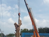 CHO THUÊ XE CẨU- UY TÍN, CHẤT LƯỢNG